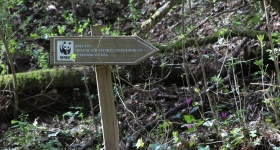 monumento naturale wwf pian sant angelo-agro-falisco