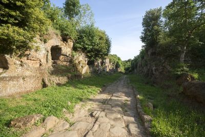 Informazioni Amerina Cochiano Falerii Novi Nepi