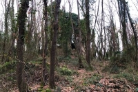 I boschi di Orte, tra scorci e la torre medievale d&#039;avvistamento