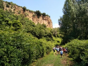Riconoscimento e raccolta delle erbe di campagna