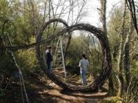 Opera Bosco: l&#039;arte che contestualizza la natura