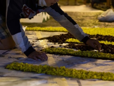 L&#039;infiorata del Corpus Domini 2023