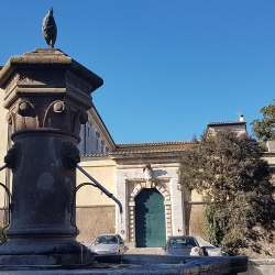 Fontana della Rocca e il Palazzo Ducale