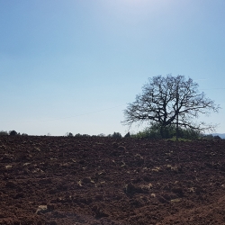 Un campo coltivato nel Monumento Naturale