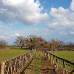 Percorso dentro la città