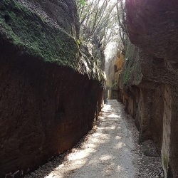 Via cava di Sant'Egidio - Tagliata falisca